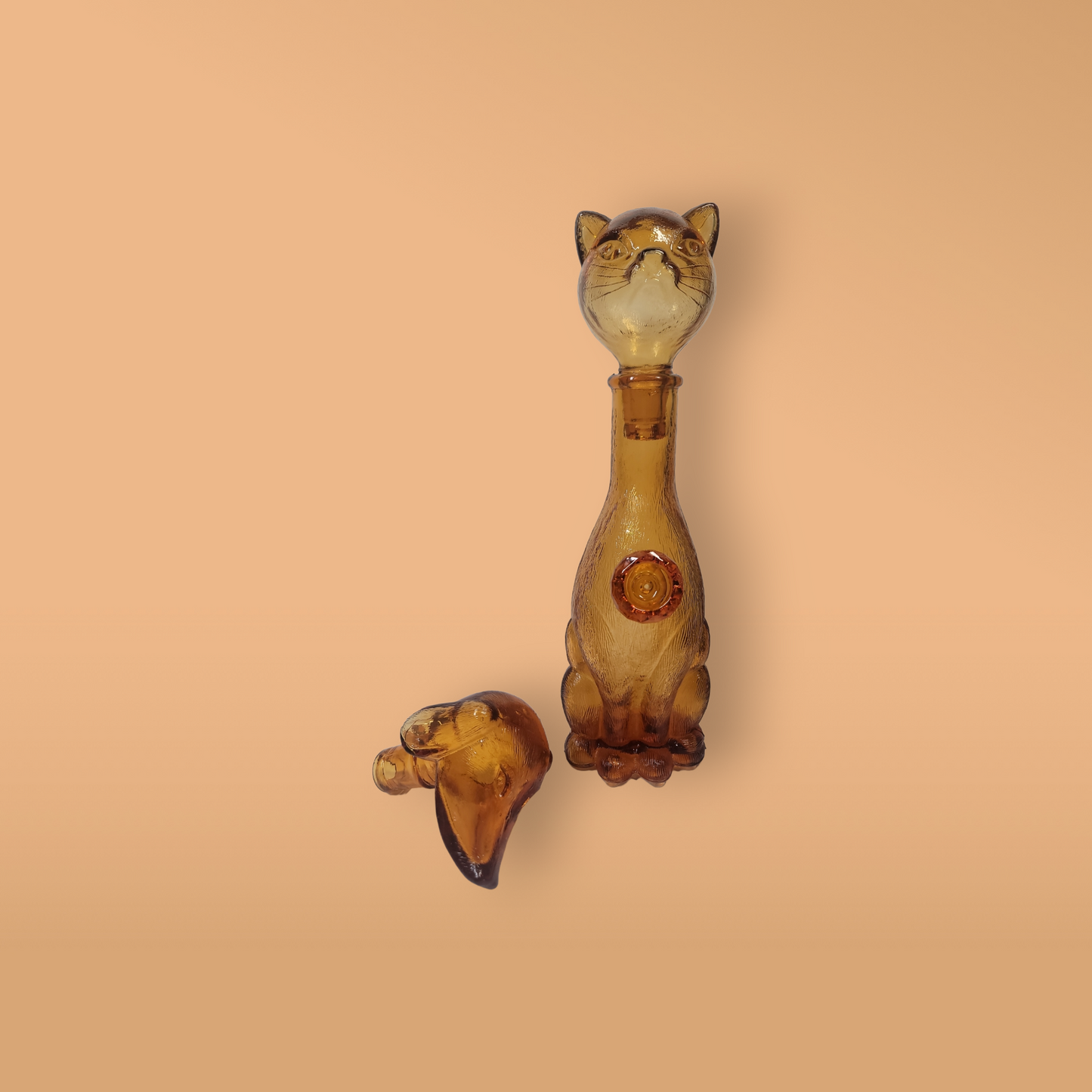 Empoli Cat Dog