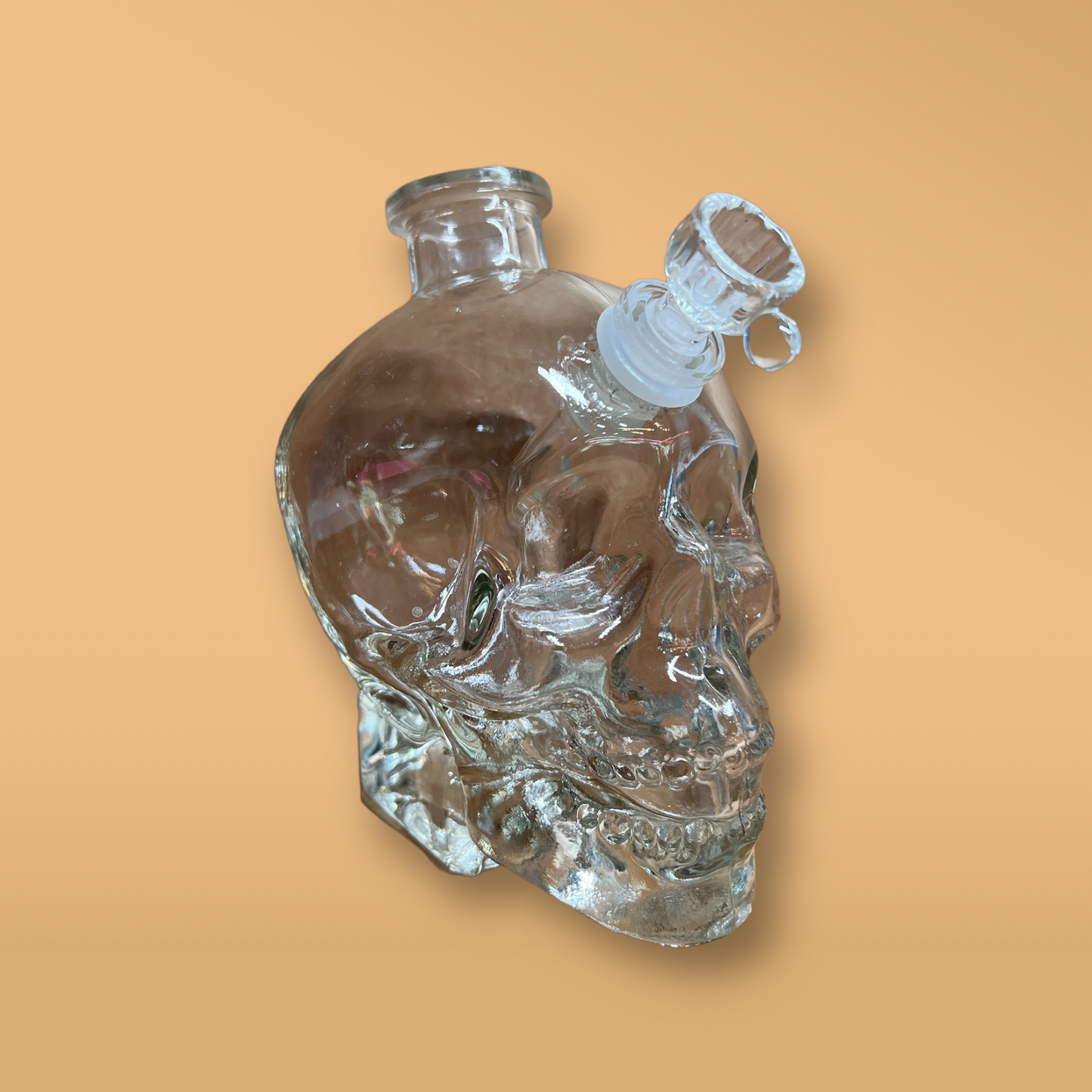 Big Clear Skull (pre order ship by 5/3)